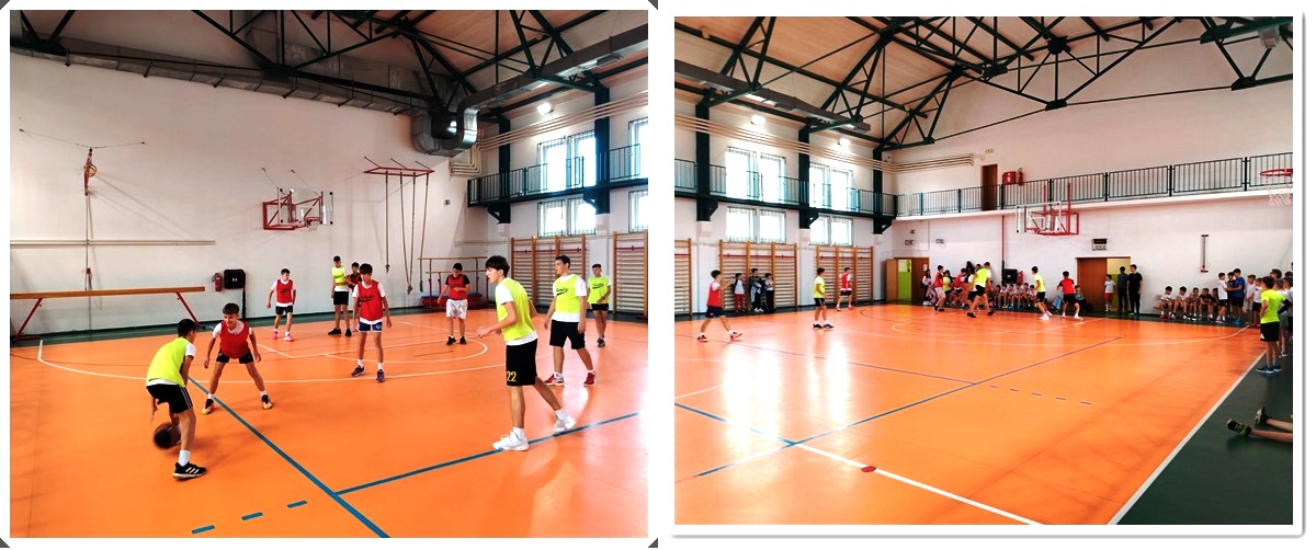 Кошарка у Шестој Кошарка у Шестој